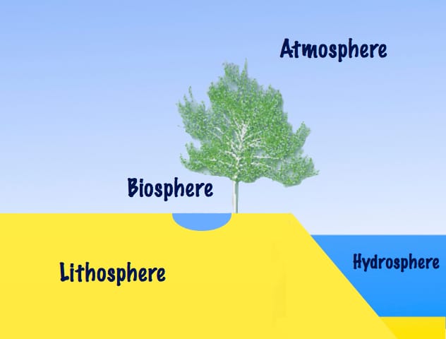 What are the Major domains of the Earth? (Complete detail on it)
