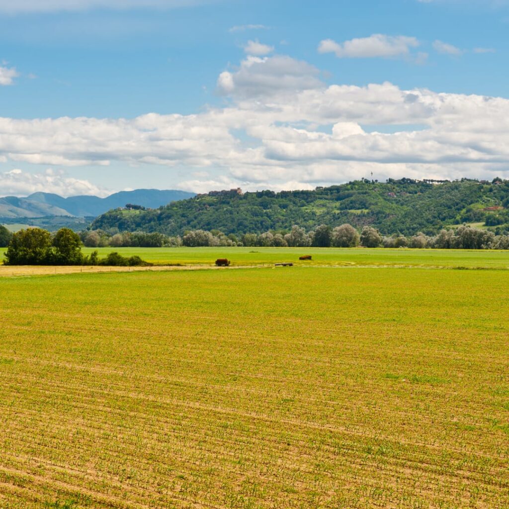 Plains
